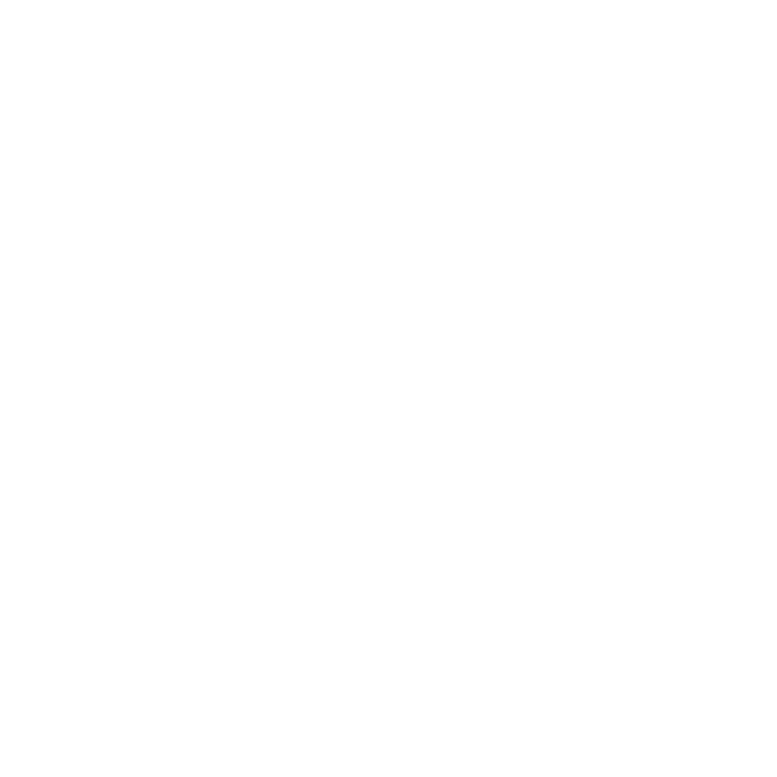 Logo Bormio Servizi